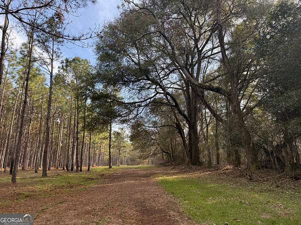 25.6 Acres of Recreational & Residential Land for Sale in Plains, Georgia