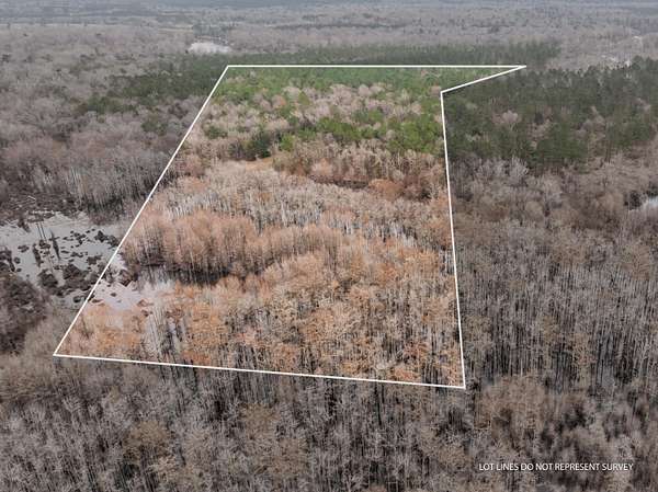53 Acres of Recreational & Residential Land for Sale in McLain, Mississippi