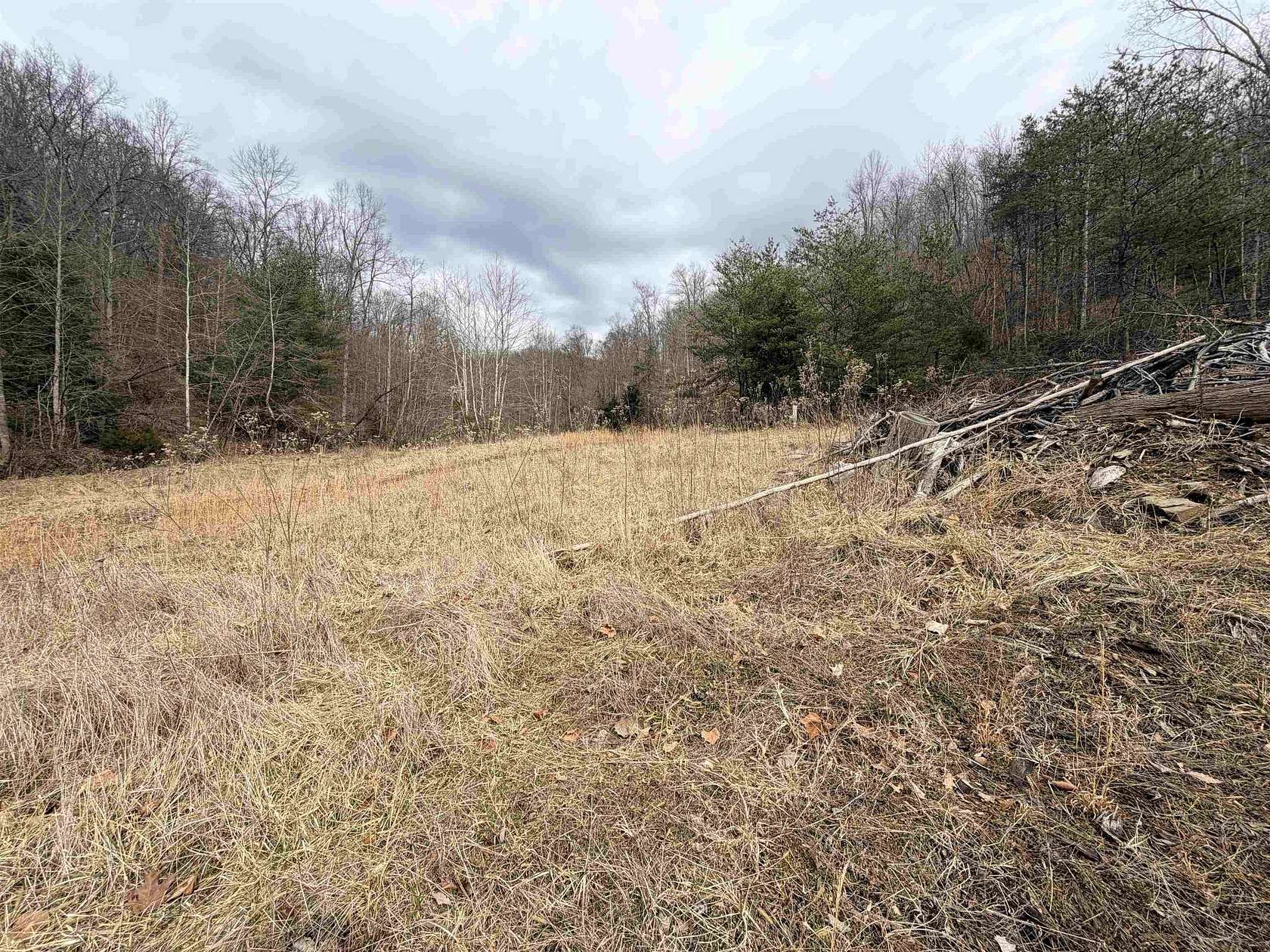 41.5 Acres of Recreational Land for Sale in Huntington, West Virginia