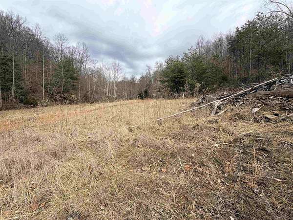41.5 Acres of Recreational Land for Sale in Huntington, West Virginia