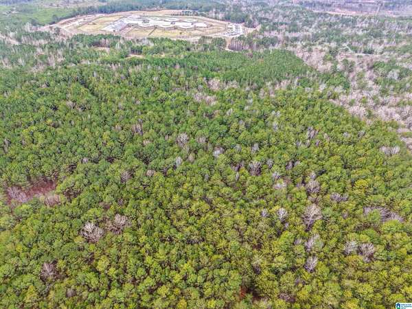 5.23 Acres of Land for Sale in Bessemer, Alabama