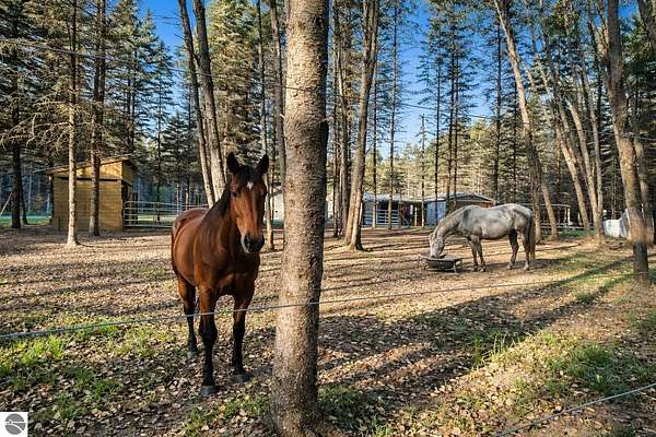 16.7 Acres of Land with Home for Sale in Buckley, Michigan