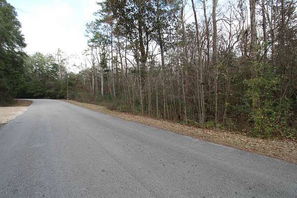 1 Acre of Residential Land for Sale in Crawfordville, Florida