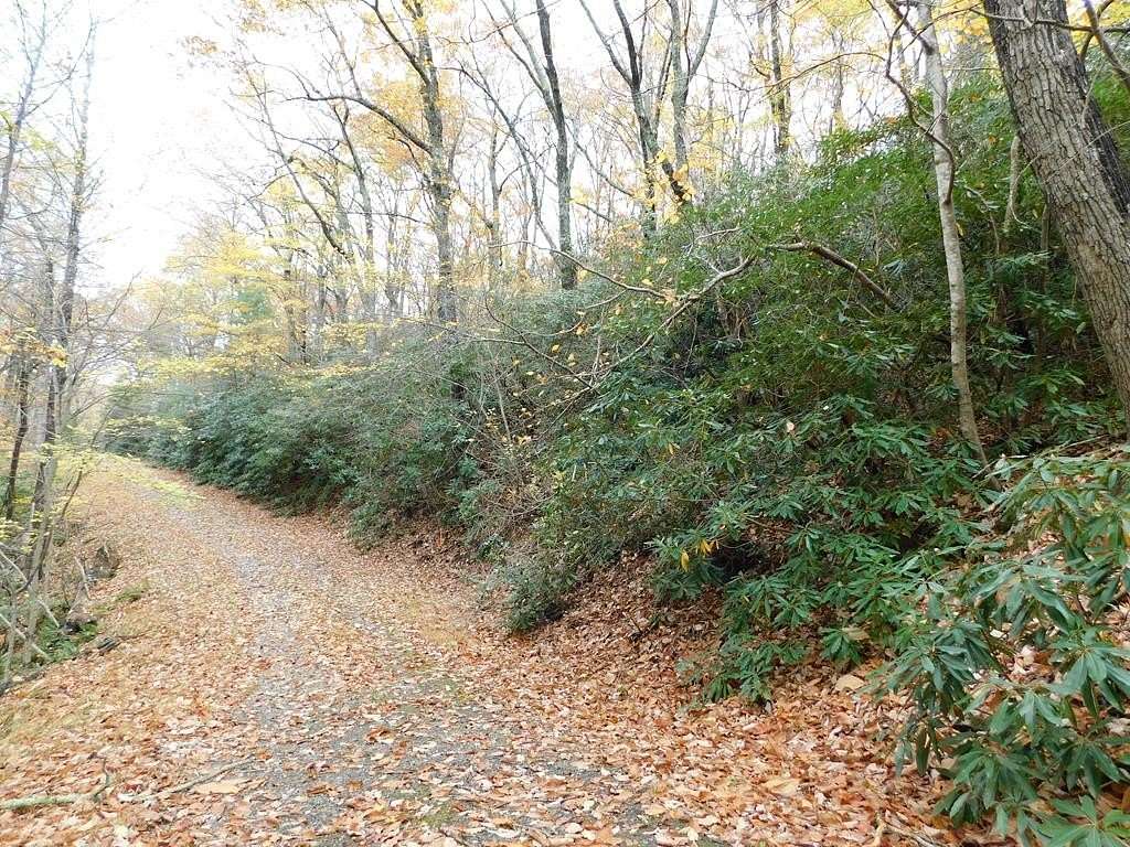 0.8 Acres of Residential Land for Sale in Fancy Gap, Virginia