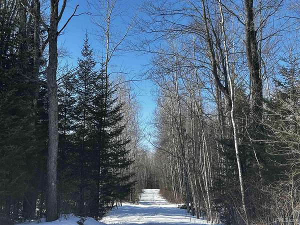 40 Acres of Land for Sale in Felch, Michigan