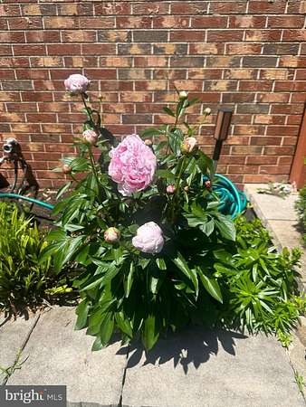 9.78 Acres of Mixed-Use Land for Sale in Goldvein, Virginia