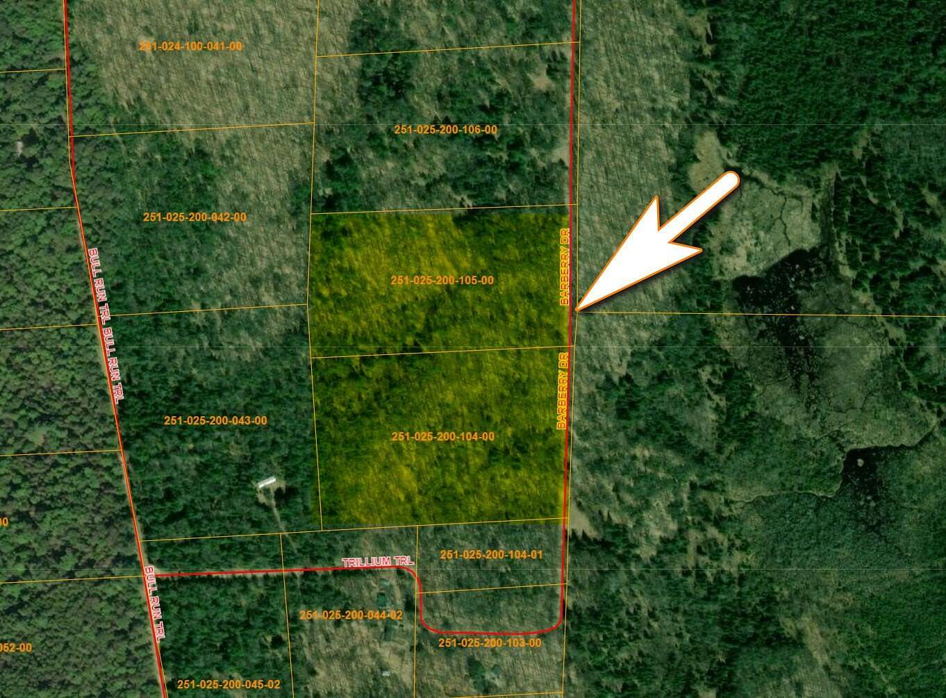 20 Acres of Recreational Land for Sale in Wolverine, Michigan