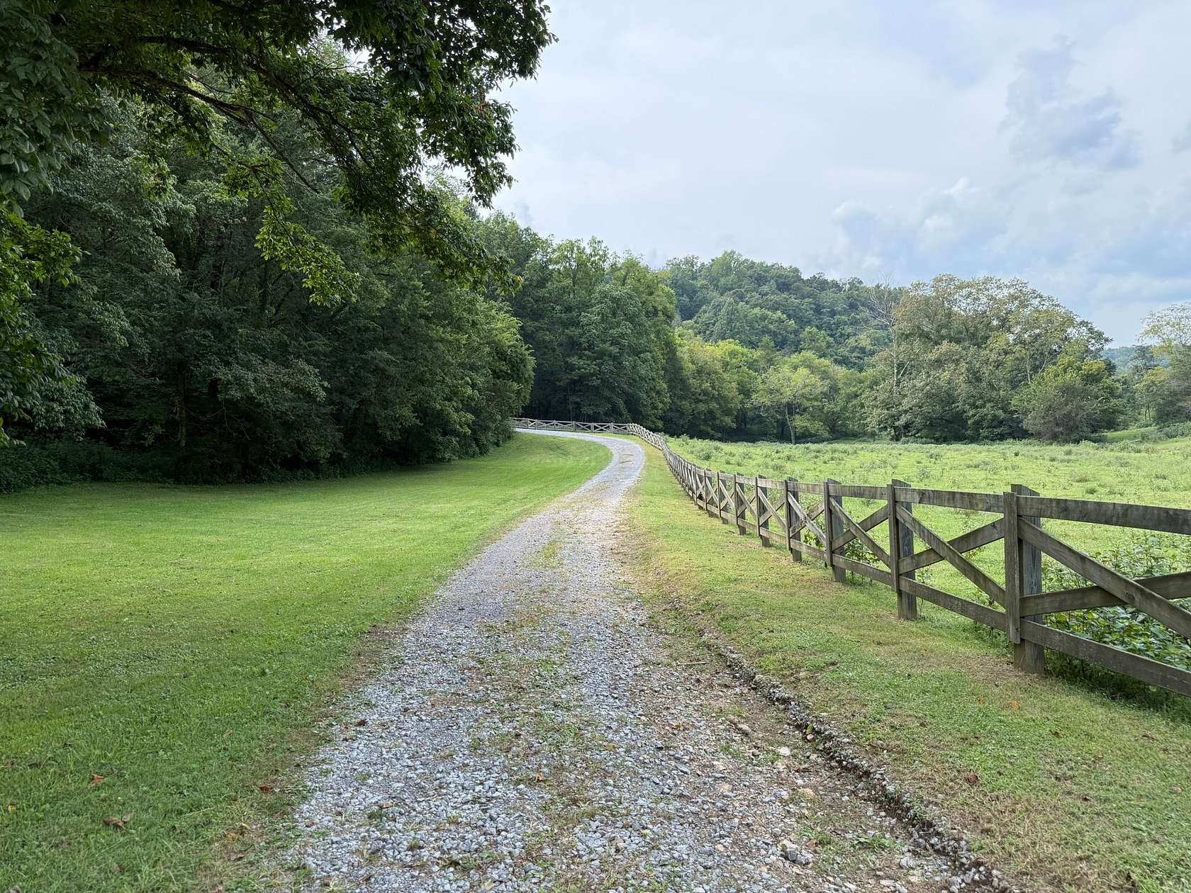 244 Acres of Agricultural Land for Auction in Woodbury, Tennessee