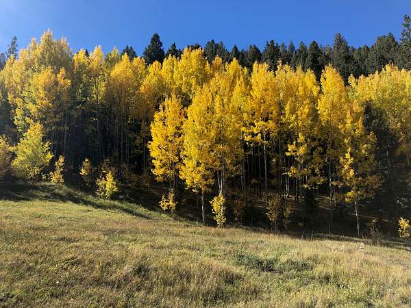 7.43 Acres of Residential Land for Sale in Cripple Creek, Colorado