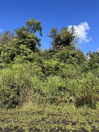 0.19 Acres of Residential Land for Sale in Mountain View, Hawaii