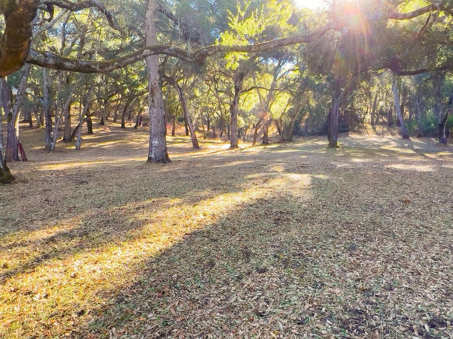 38.5 Acres of Agricultural & Residential Land for Sale in Carmel Valley, California