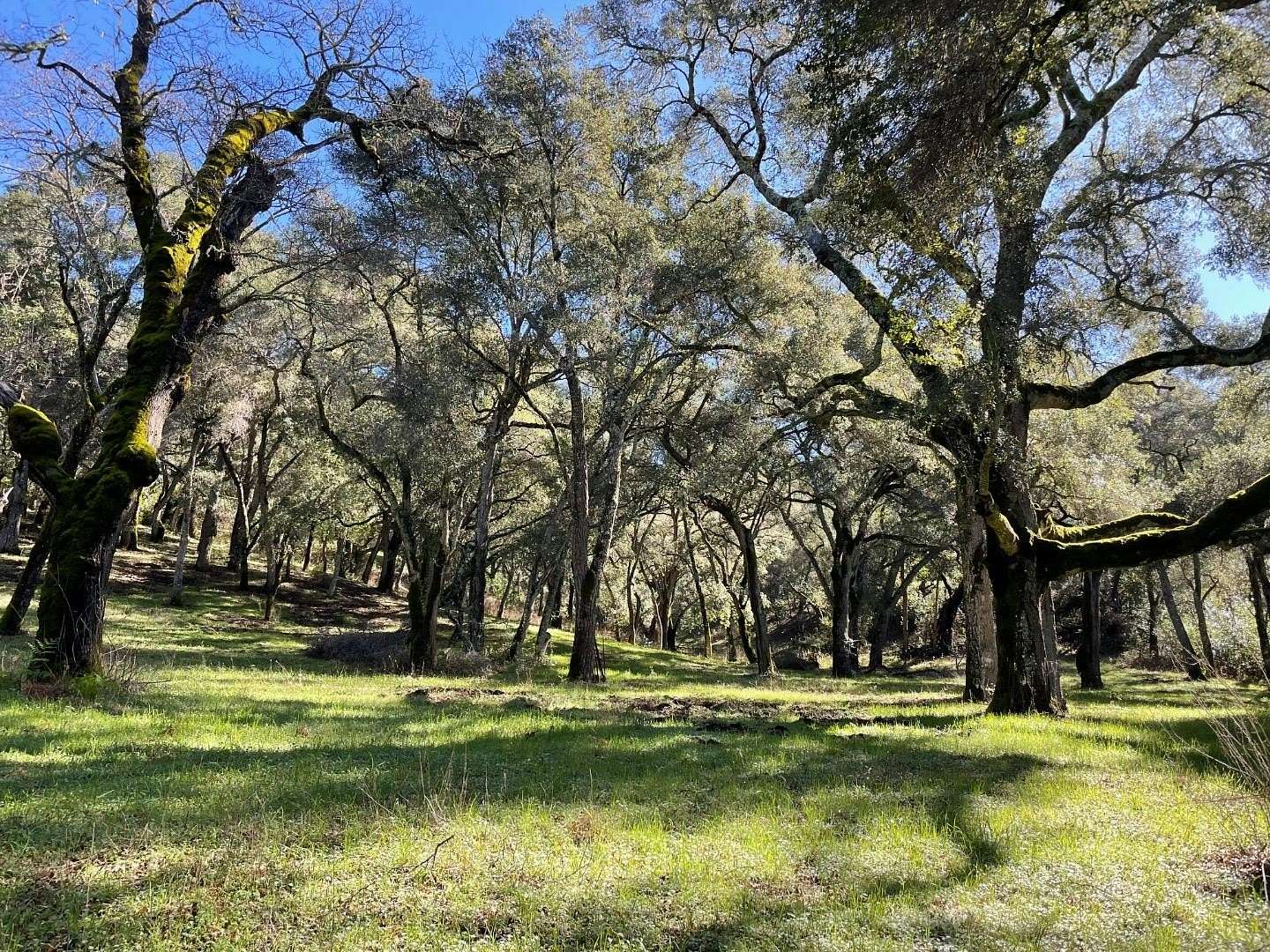 38.5 Acres of Agricultural & Residential Land for Sale in Carmel Valley, California
