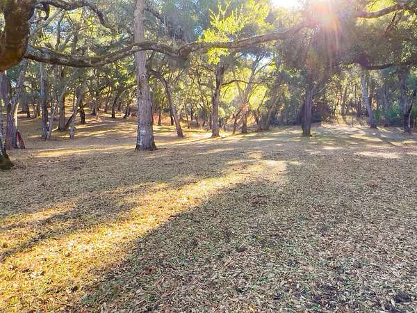 38.5 Acres of Agricultural & Residential Land for Sale in Carmel Valley, California