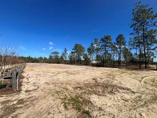 1.25 Acres of Residential Land for Sale in Bronson, Florida