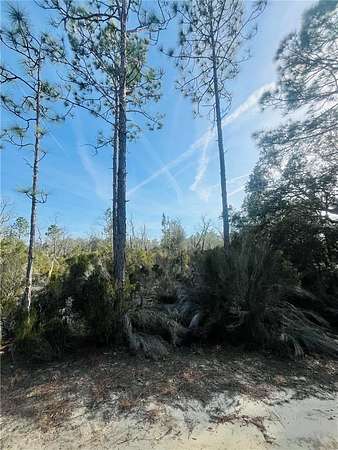 1.25 Acres of Residential Land for Sale in Bronson, Florida