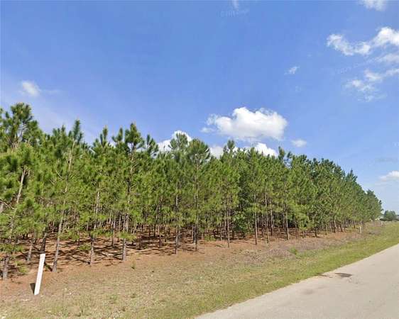 1 Acre of Mixed-Use Land for Sale in Ocala, Florida