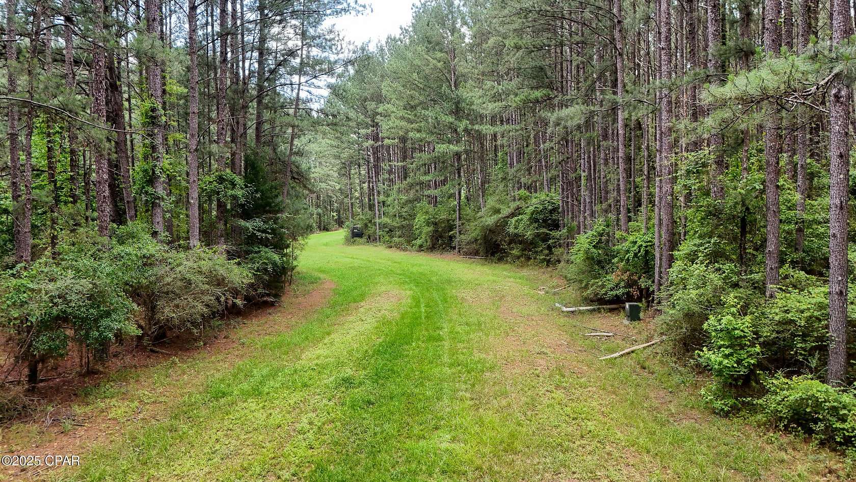 6.29 Acres of Residential Land for Sale in Westville, Florida