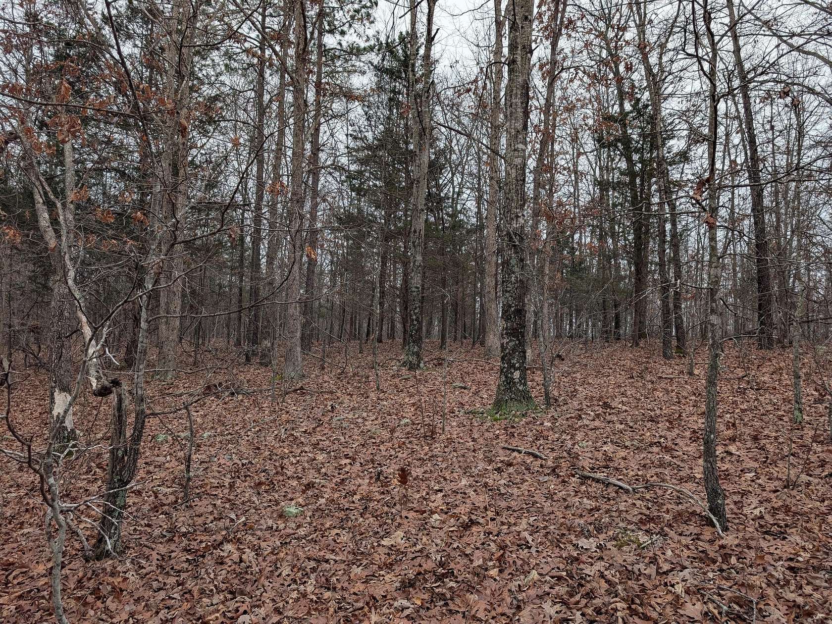 14.5 Acres of Recreational & Residential Land for Sale in Birch Tree, Missouri