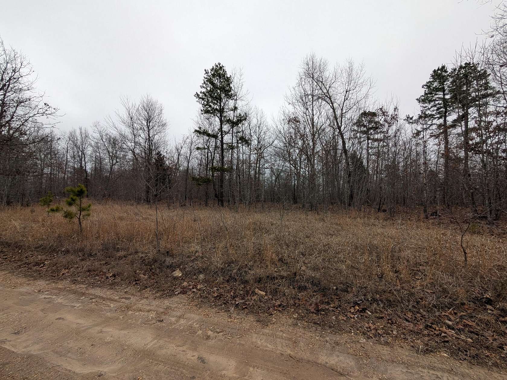 14.5 Acres of Recreational & Residential Land for Sale in Birch Tree, Missouri