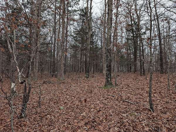 14.5 Acres of Recreational & Residential Land for Sale in Birch Tree, Missouri