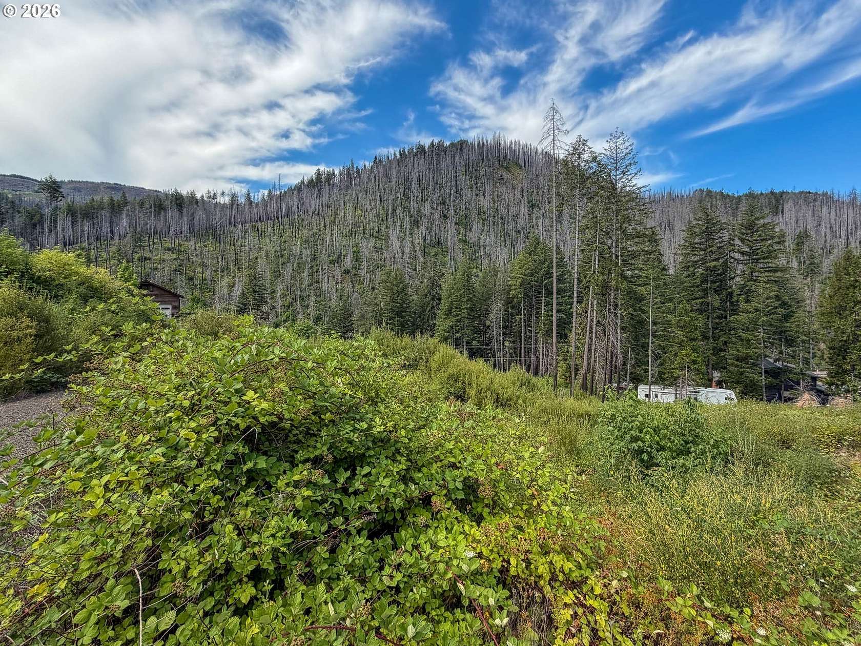 0.73 Acres of Residential Land for Sale in Idleyld Park, Oregon
