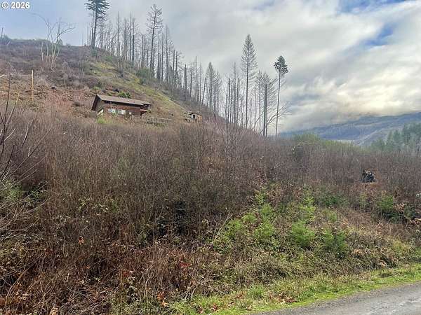 0.73 Acres of Residential Land for Sale in Idleyld Park, Oregon