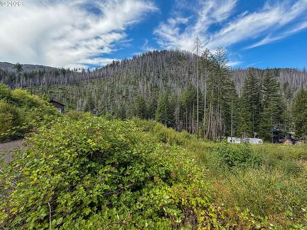 0.73 Acres of Residential Land for Sale in Idleyld Park, Oregon