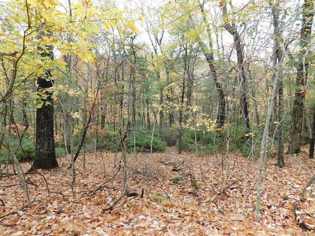 0.6 Acres of Residential Land for Sale in Fancy Gap, Virginia