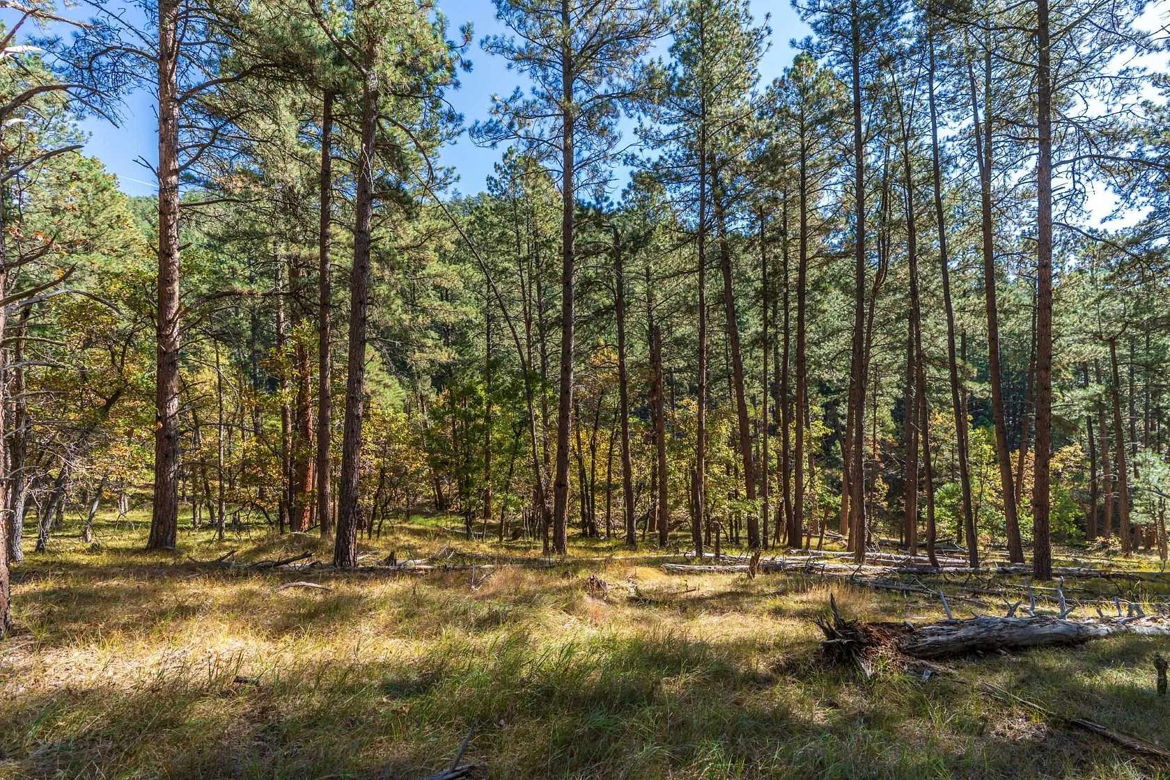 14.9 Acres of Recreational Land for Sale in Keystone, South Dakota