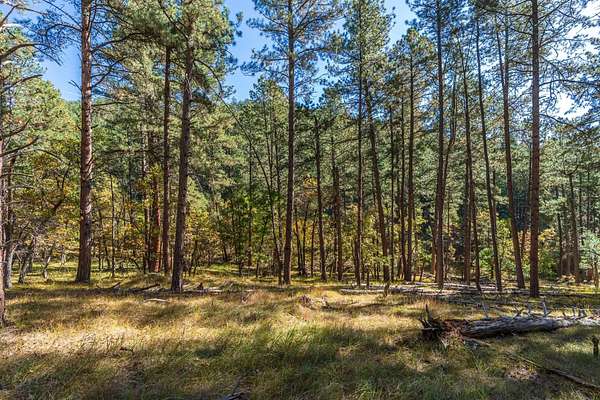 14.9 Acres of Recreational Land for Sale in Keystone, South Dakota