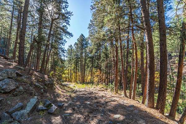 10.3 Acres of Recreational Land for Sale in Keystone, South Dakota