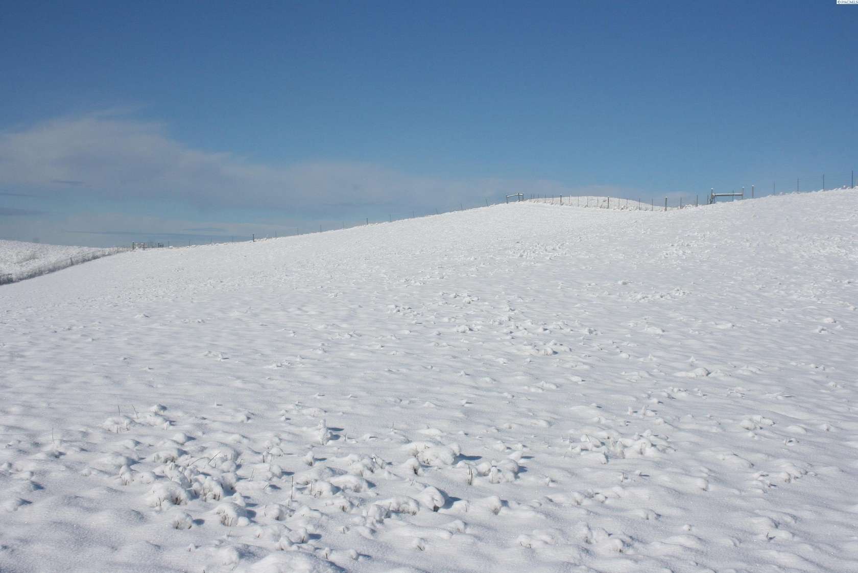 6 Acres of Residential Land for Sale in Pullman, Washington