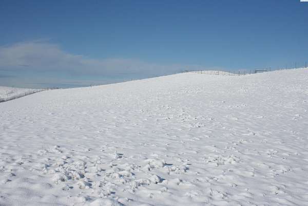 6 Acres of Residential Land for Sale in Pullman, Washington