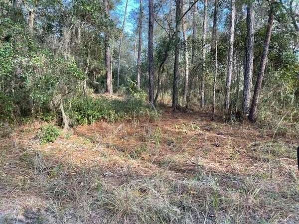 0.23 Acres of Residential Land for Sale in Satsuma, Florida