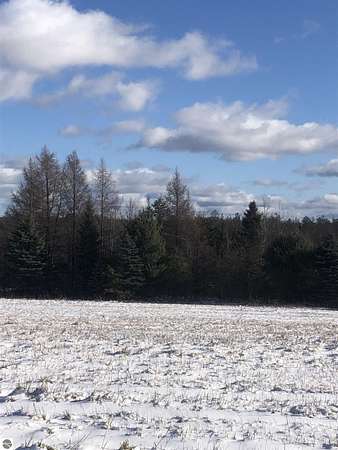 80 Acres of Recreational & Residential Land for Sale in Kalkaska, Michigan