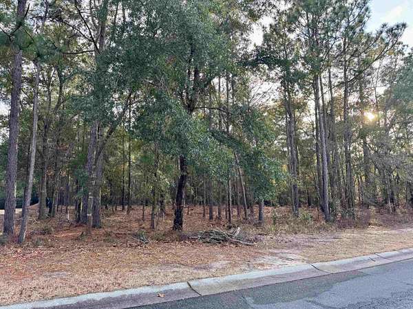 0.49 Acres of Residential Land for Sale in Pawleys Island, South Carolina