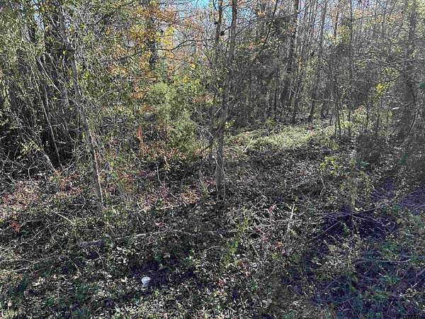 0.33 Acres of Residential Land for Sale in Bullard, Texas