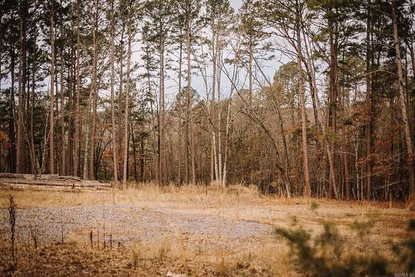 1.18 Acres of Residential Land for Sale in Shirley, Arkansas