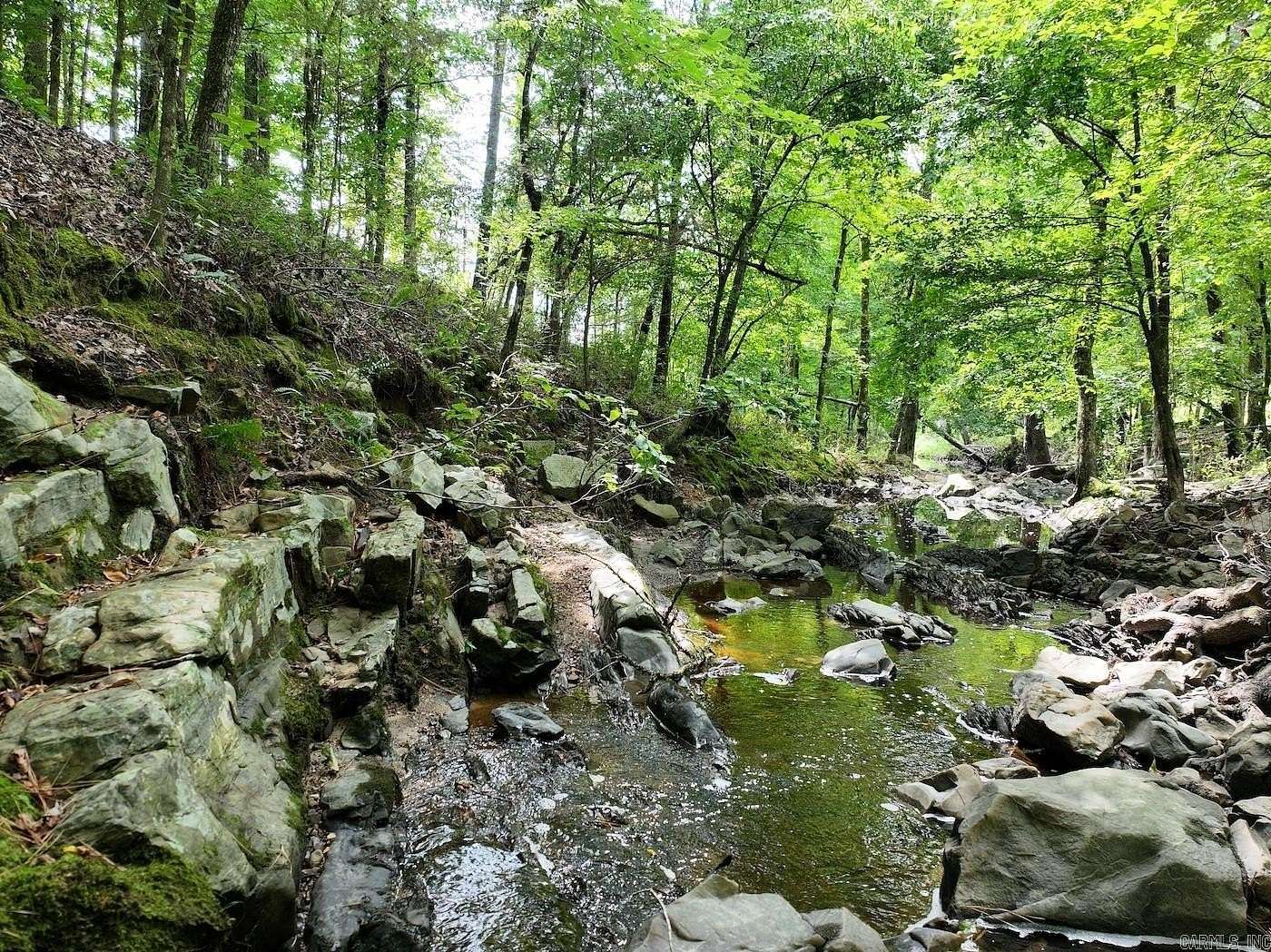 40 Acres of Land for Sale in Amity, Arkansas