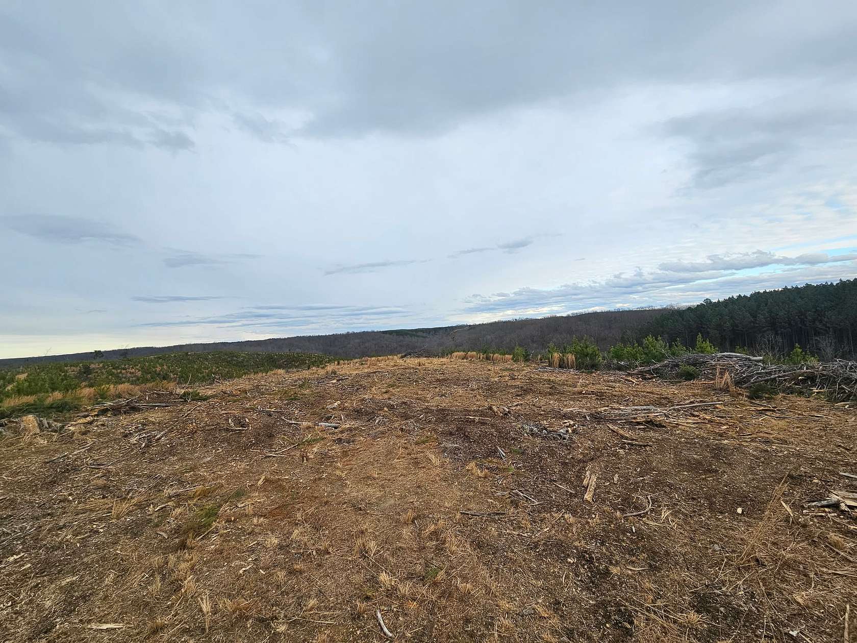 15 Acres of Land for Sale in Waynesboro, Tennessee