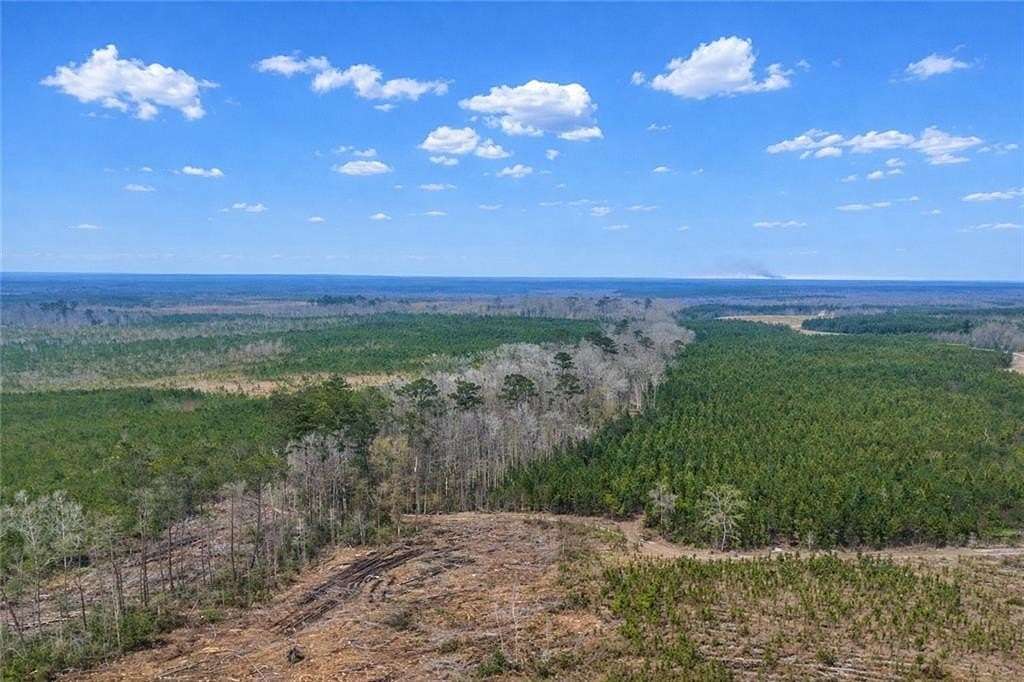 1,013 Acres of Land for Sale in Glennville, Georgia