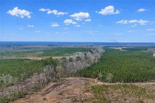 1,013 Acres of Land for Sale in Glennville, Georgia