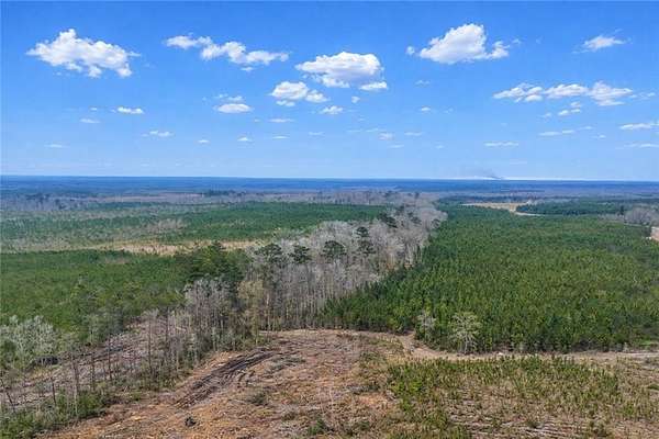 1,013 Acres of Recreational Land for Sale in Glennville, Georgia