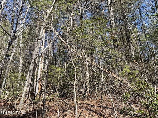 0.45 Acres of Residential Land for Sale in Crossville, Tennessee