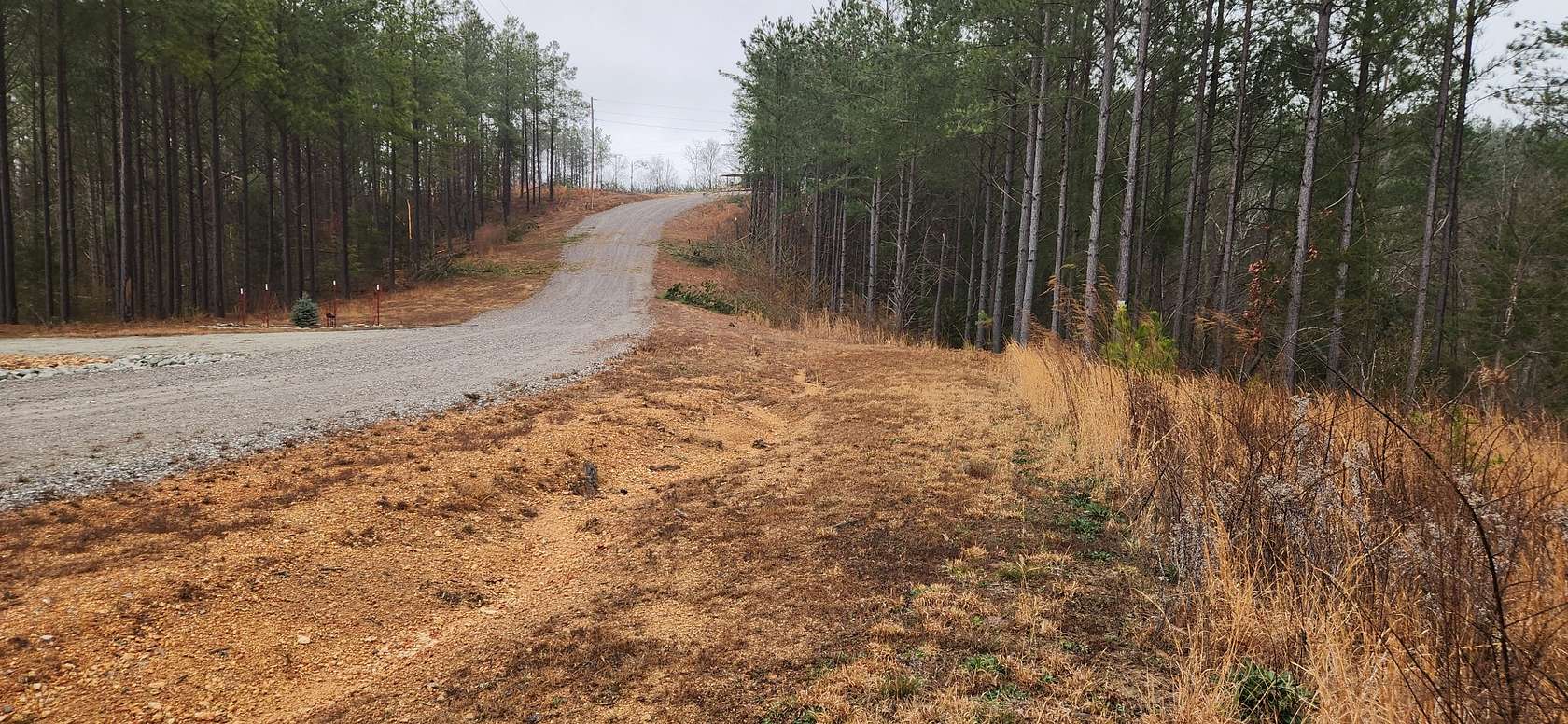 15 Acres of Recreational & Residential Land for Sale in Linden, Tennessee