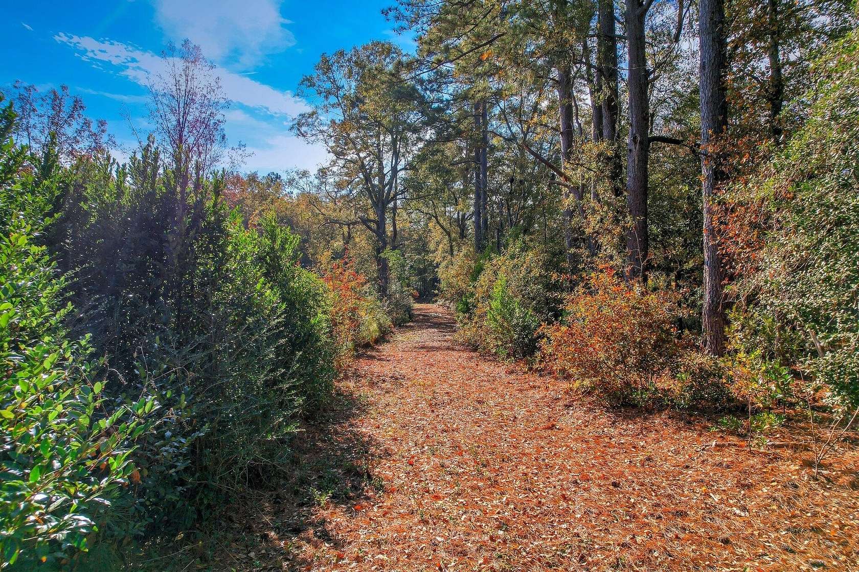 19.3 Acres of Land for Sale in Aiken, South Carolina