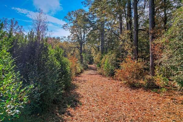 19.3 Acres of Land for Sale in Aiken, South Carolina