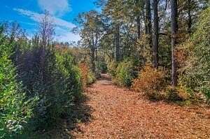 19.3 Acres of Land for Sale in Aiken, South Carolina