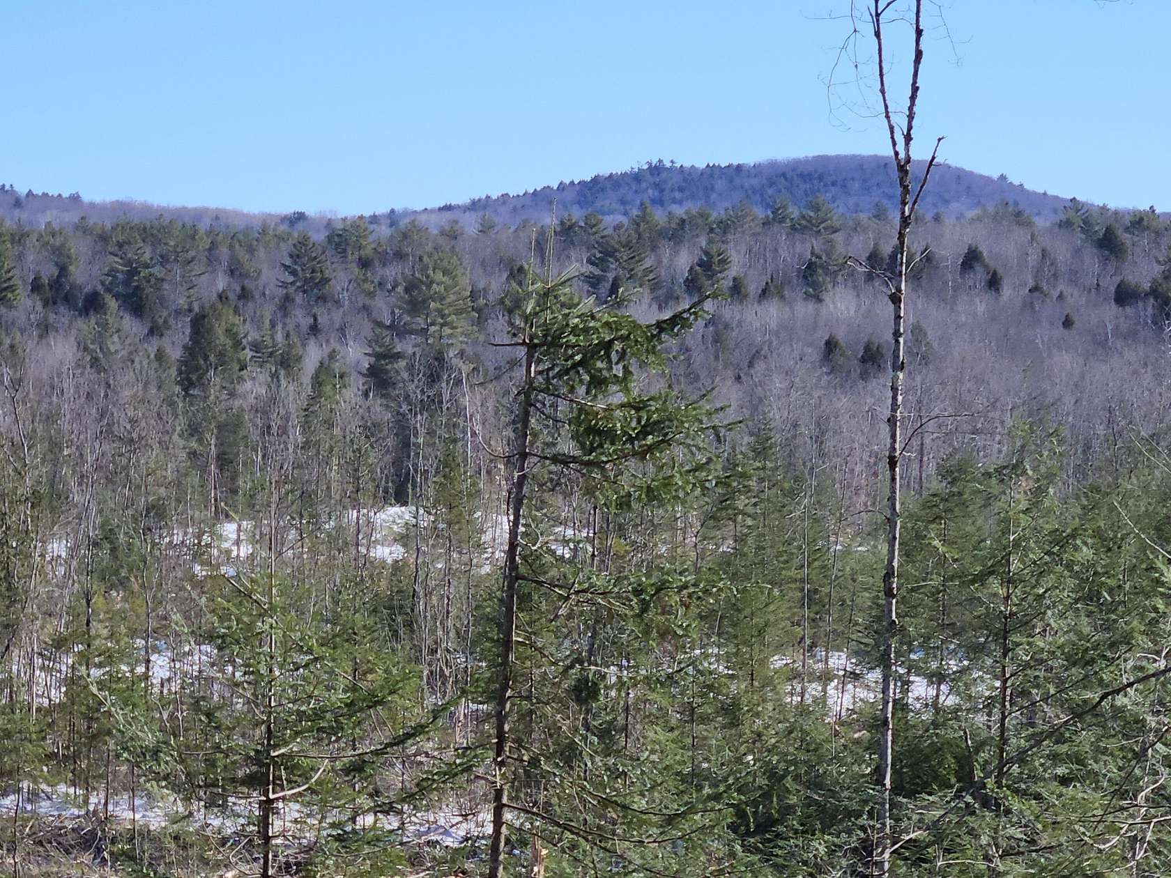 41 Acres of Recreational Land for Sale in Chesterville, Maine