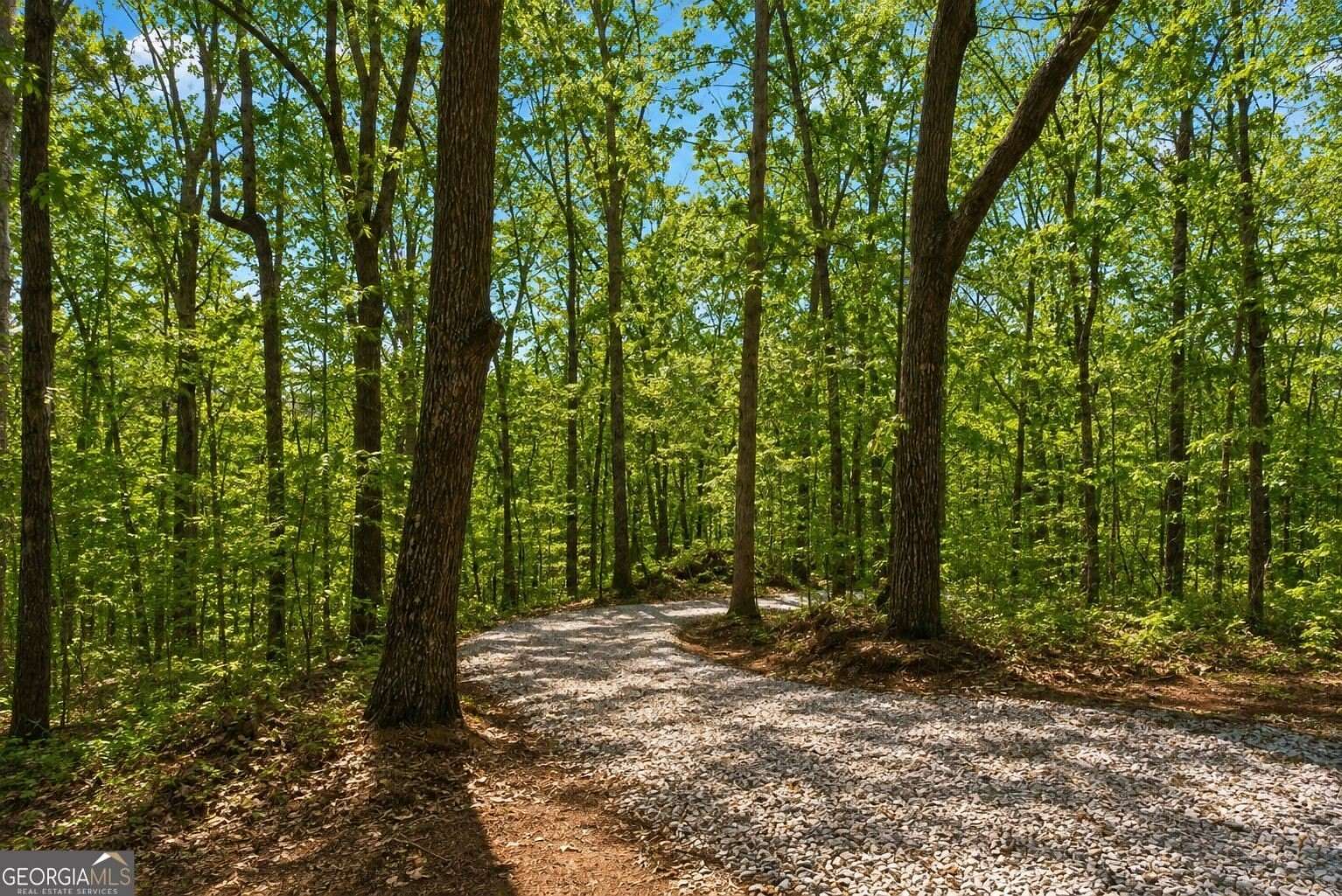 11 Acres of Recreational & Residential Land for Sale in Eastanollee, Georgia